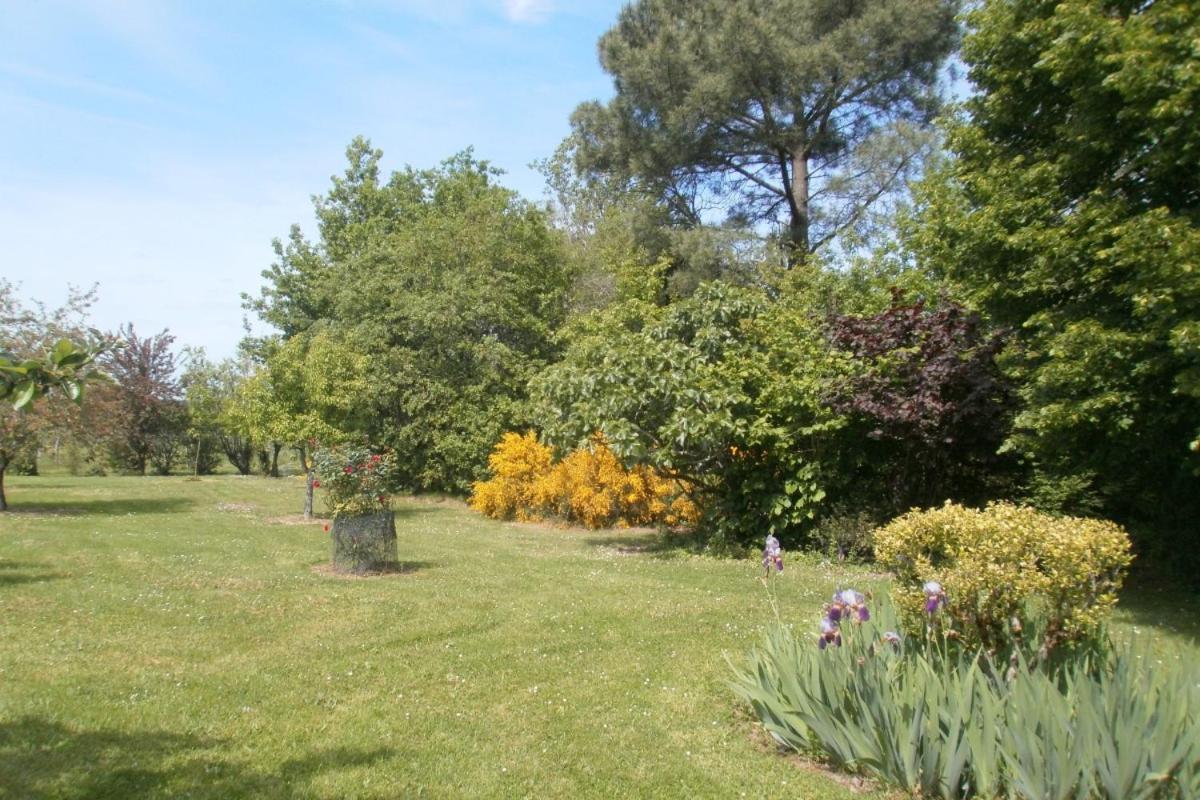 Les Glycines Villa Saint-Pierre-de-Buzet Kültér fotó